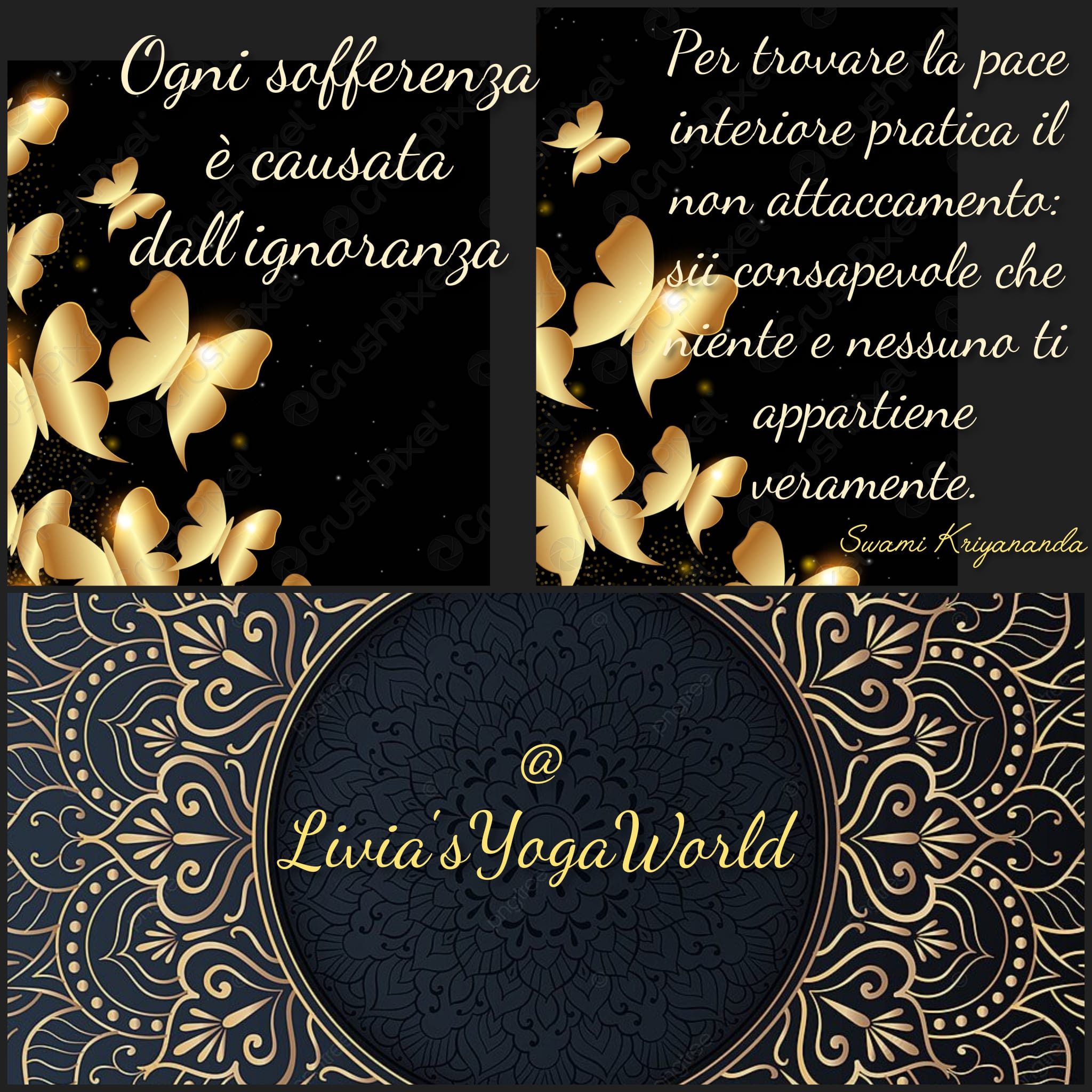 Liviasyogaworld.com